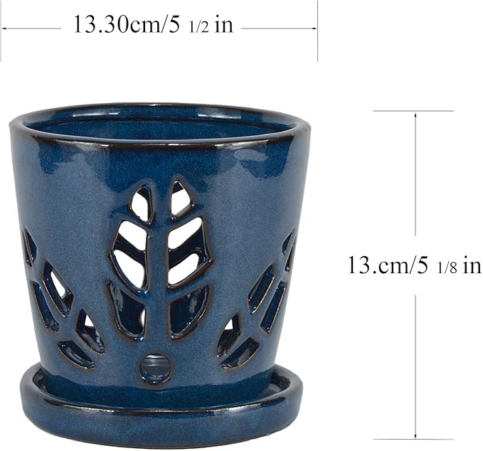 W&W Orchid Pot with Holes and Saucer for Repotting, Blue, 5.5 Inch