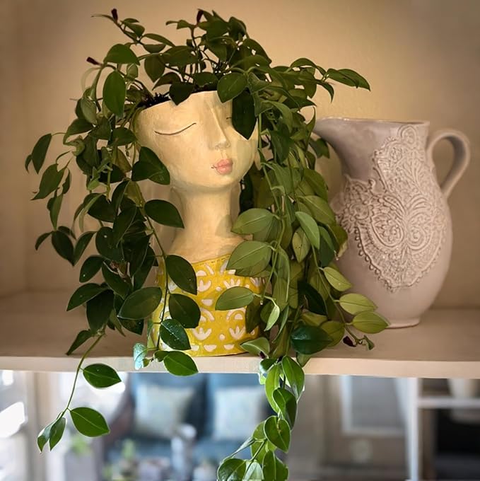 DiliComing Face Planter-Pots for Indoor Plants - 11 Inch Tall Planters for Flowers Head Planter with Drainage for Patio Yard Garden Succulent Pots Garden Decor 6 x 6 x 11 Inch