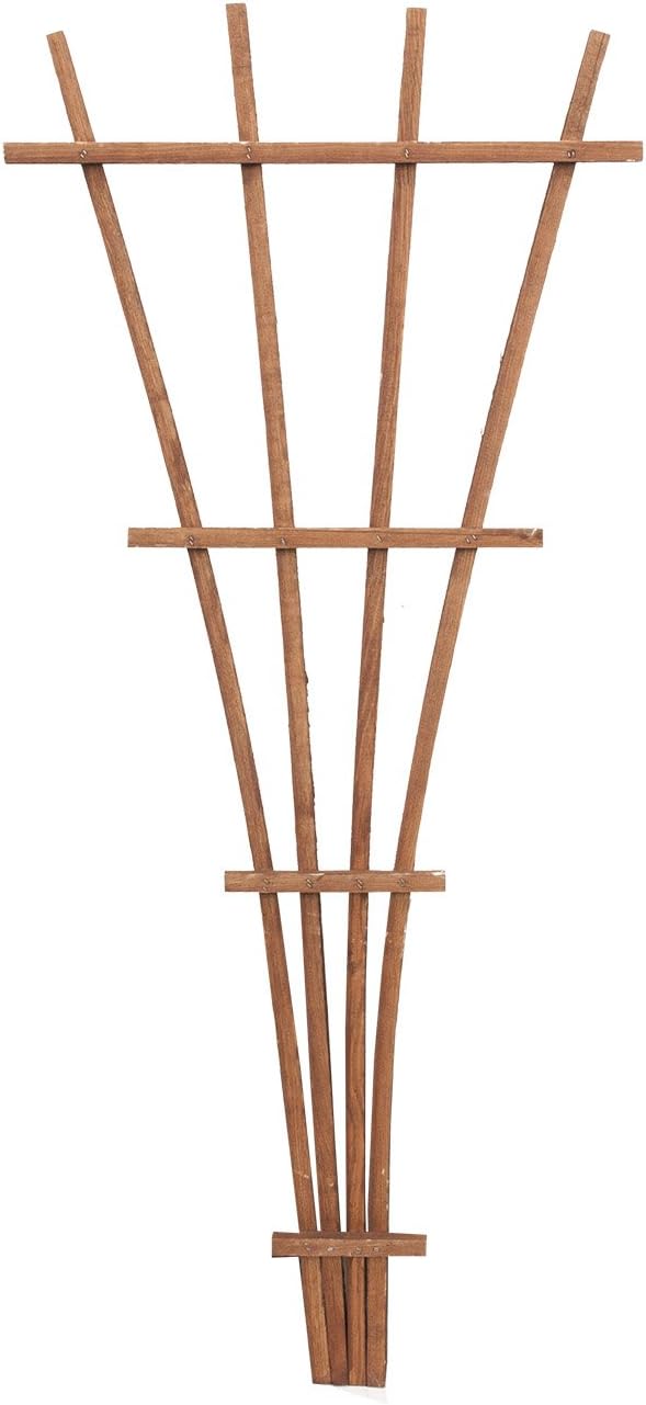 Panacea 83737 48" Brown Wood Fan Trellis