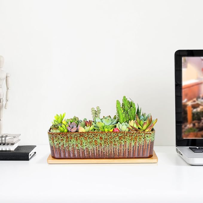 Succulent Pots - 12 Inch Large Succulent Planters with Drainage Tray, Window Sill Planter, Long Rectangle Ceramic Pots for Indoor Cactus Plants Shallow Bonsai Window Box for Home Garden Decor