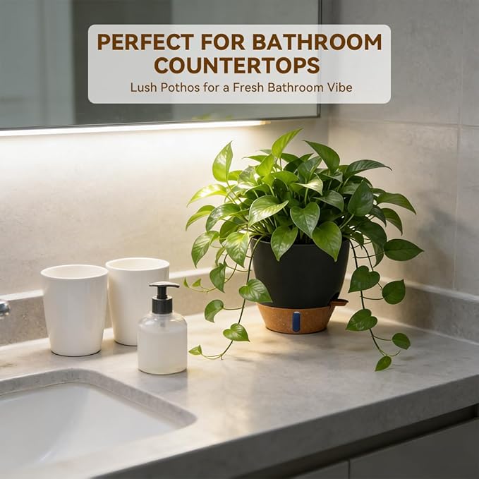 7/6.5/6/5.5/5 Inch Self Watering Pots, Plastic Flower Pots with Multi Mesh Drainage Holes and Deep Reservoir for Indoor Outdoor Garden Plants and Flowers (Black, 5/5.5/6/6.5/7/8)