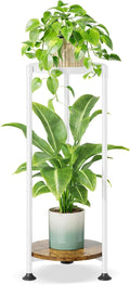 iDavosic.ly 2 Tier Corner Plant Stand Indoor, 30 Inch Tall Vertical Metal Flower Heavy Duty Pot Holder Shelf Outdoor for Patio Porch Living Room, White & Rustic Brown - Round