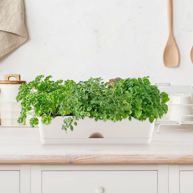 6 Pack Rectangle Planter 16x4.4 Inch Window Boxes Planters Rectangular Large Window Sill Planters Indoor Self Watering Plant Pots with Drainage Holes and Saucers Succulent Herb Flower Pots, Light Grey