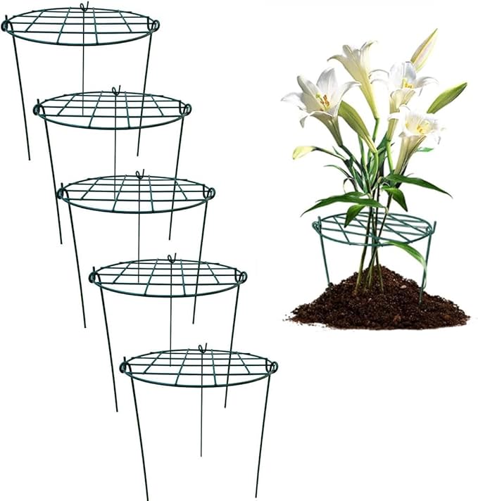 MTB Supply 5 Pack 16 x 24 inch Peony Cages,Grow Through Plant Support Stakes, Flower Support Hoops Heavy Plants Brace Rings