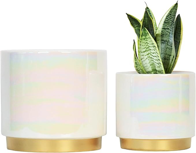 Gepege White Indoor Plant Pots for Plants, Ceramic Planter with Drainage Hole, 7.6 Inch +6 Inch 2pcs Succulent Orchid Flower Pot - Rainbow Pearl Glaze