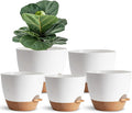 Indoor Plant Pots for Lazy People, 5Pack White Plastic Self Watering Planter Pots for Houseplants,Succulent, African Violets,Snake Plants, Flowers and Cactus(7/6.5/6/5.5/5 Inch)