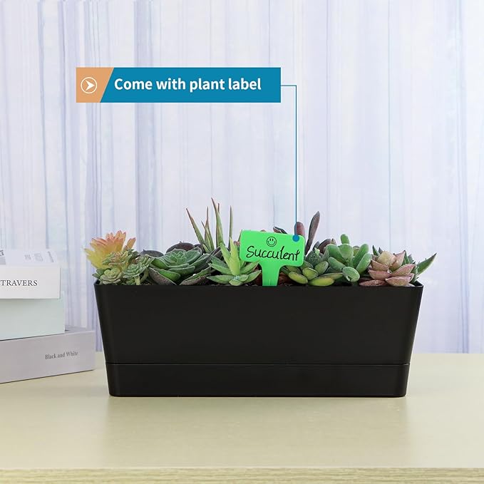 Window Box Planter with Tray, 12" Rectangle Plant Pot, Pack of 3 (Black)