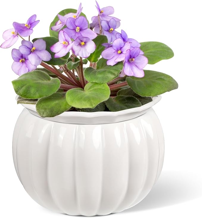 BUYMAX African Violet Pots, 6 inch Pumpkin-Style Ceramic Easy Self Watering Plant Pot for Busy Plant Lovers, Automatically Absorb Appropriate Amount of Water, Flower Pot Indoor-Plants Not Included