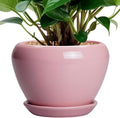 6 Inch Plant Pot - Ceramic Pot for Indoor Plants, Glaze Modern Decorative Round Ceramic Planter with Drainage Hole and Saucer, Plant Lover Gifts, Home Garden Room Office Decor, Pink