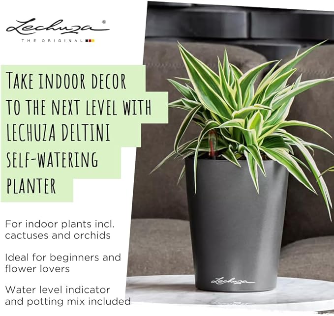 Lechuza 14903 Deltini Self-Watering Planter for Indoor and Outdoor Use, 6" x 6" x 7", Charcoal