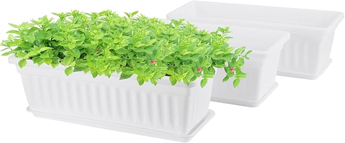 GREANER Rectangle Plastic Flower Boxes, 3 Pack Large Long Planter 16.9x7.48 Inch Morden Thicken Vegetable Plant Pot with Tray for Garden, Kitchen, Window, Office, Balcony, Outdoor Indoor Use - White