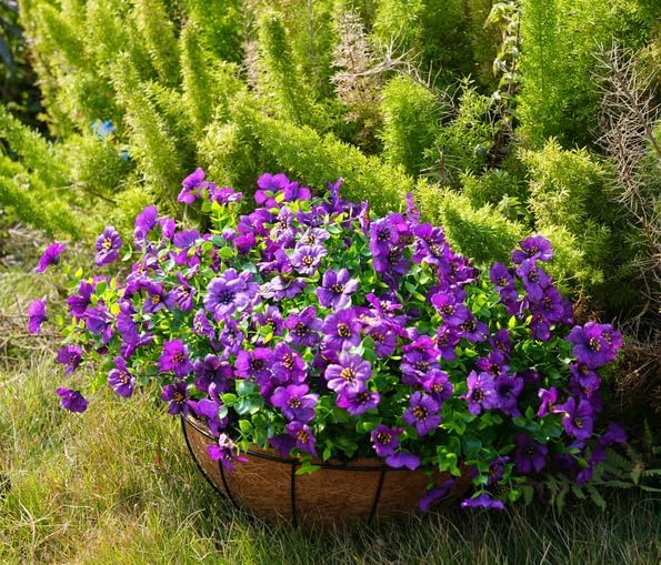 Artificial Flowers for Outdoor, UV Resistant Fake Silk Flowers, Realistic Faux Plants for Outside Indoor Porch Patio Window Box Planter Home Decor (14, Purple)