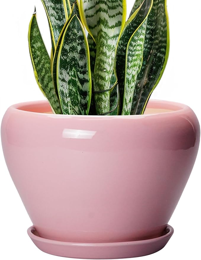 Ceramic Modern Glaze Succulent Planter Pot with Drainage Hole and Saucer 8 Inch Round Flower Plant Pot for Indoor Outdoor Herb Snake Plants, Pink