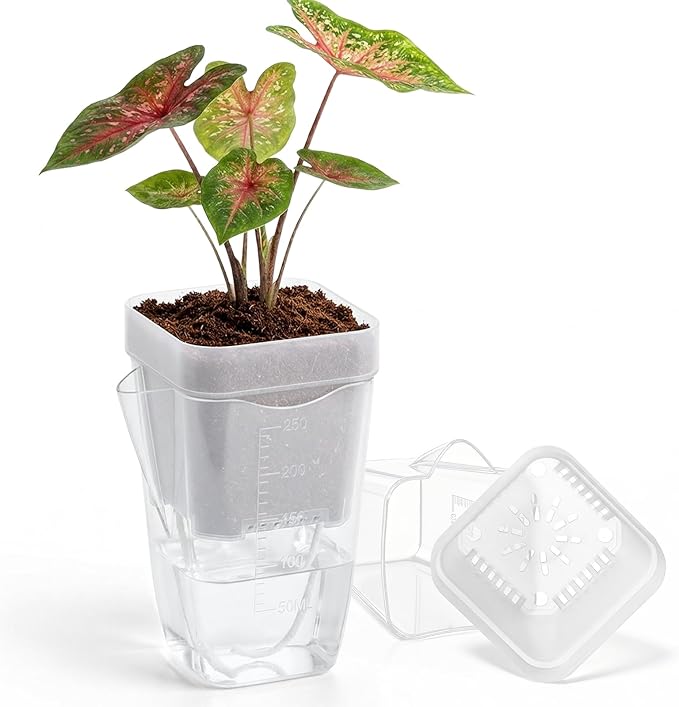 2.5 Inch Mini Self Watering Pots for Indoor Plants, 15 Pack Semi Hydroponic Pots, Small Clear Plastic Planters, Drainage Hole, Water Level Indicator, African Violets, Alocasia, Cutting, Seeding