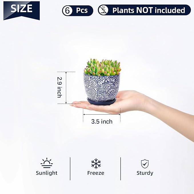 Selamica Ceramic Succulent Pots, 3.5 Inch Small Plant Pots for Indoor Plants Cactus Herbs, Succulent Planters with Drainage Holes & Saucers, Home Decor, Set of 6, Vintage Blue