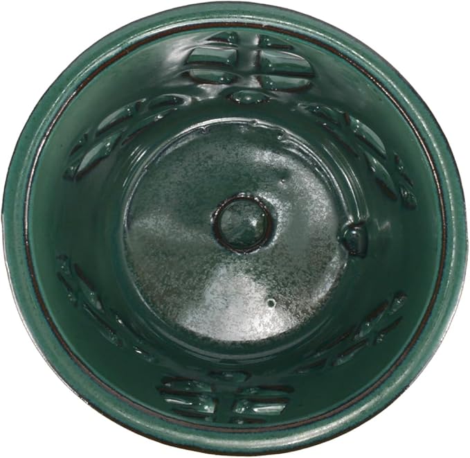 W&W Orchid Pot with Holes and Saucer for Repotting, Green, 5.5 Inches