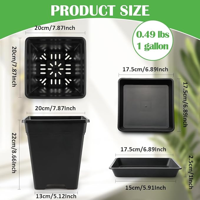 BTPLASTIK Square Plastic Planter 8 Inch, Plant Pots with Drainage Hole & Tray, 10 Pack Modern Decorative Garden Pot with Saucer, 1 Gallon Flower Pots Planters for Indoor Outdoor Plants