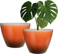 2 Pack Plastic Plant Pots with Drainage Holes, 8 inch Planter for Indoor Outdoor Plant, Garden Flower Pots for Aloe, Herbs, Cactus (Orange, 2pcs)
