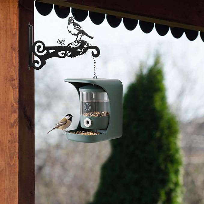 4-Pack Aesthetic Wall Plant Hanger Indoor and Outdoor – 10 Inch Metal Hanging Plant Bracket with Beautiful Bird Pattern – Heavy Duty Plant Hooks for Hanging Plants, Bird Feeder, Wind Chime, Lantern