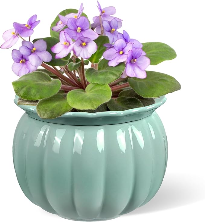 BUYMAX African Violet Pots, 6 inch Pumpkin-Style Ceramic Easy Self Watering Plant Pot for Busy Plant Lovers, Automatically Absorb Appropriate Amount of Water, Flower Pot Indoor-Plants Not Included