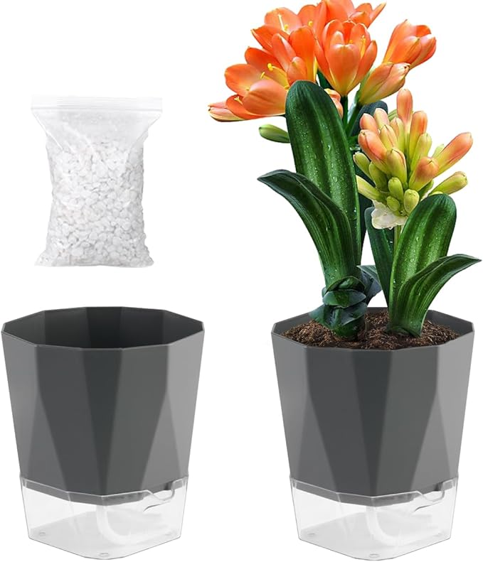 2 Pack Self Watering Plant Pots 8.4" Self Watering Planters for Indoor and Outdoor Plants African Violet Self Watering Clear Pots for Plants Large Herb Orchid Flower Houseplant Pots, Dark Grey
