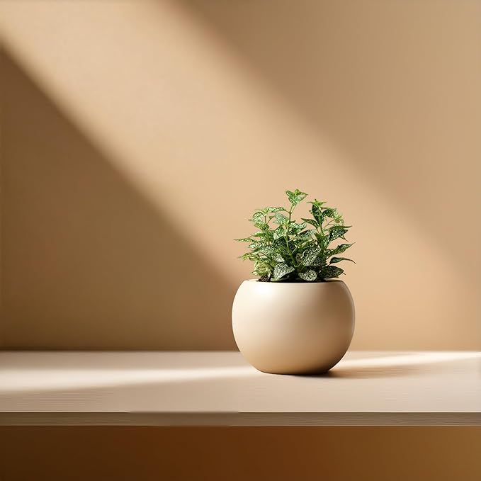 Ceramic Self Watering Plant Pot | 6.8 Inch Pot with 4.5 Inch Inner Pot for Small Plants | Ivory Pot for Indoor Plants | Round Self Watering Planter | Bottom Watering Pots for Indoor Plants