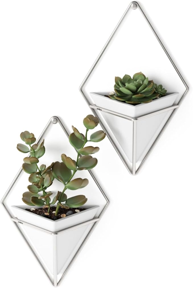 Umbra Trigg Hanging Planter Vase Wall Decor, Set of 2 Pots Containers for Succulents, Cactus, Faux Plants, and More, Small, White/Nickel