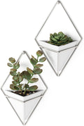 Umbra Trigg Hanging Planter Vase Wall Decor, Set of 2 Pots Containers for Succulents, Cactus, Faux Plants, and More, Small, White/Nickel