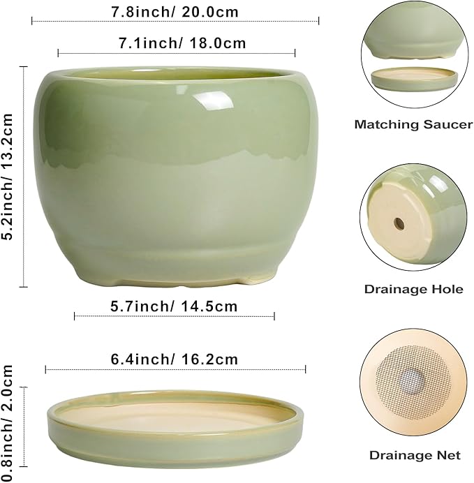 SQOWL 8 Inch Plant Pot - Ceramic Planters with Drainage Hole and Tray, Round Flower Pot for Indoor Plants, Modern Decorative Planters Outdoor, Garden Decor, Housewarming Gifts, Green