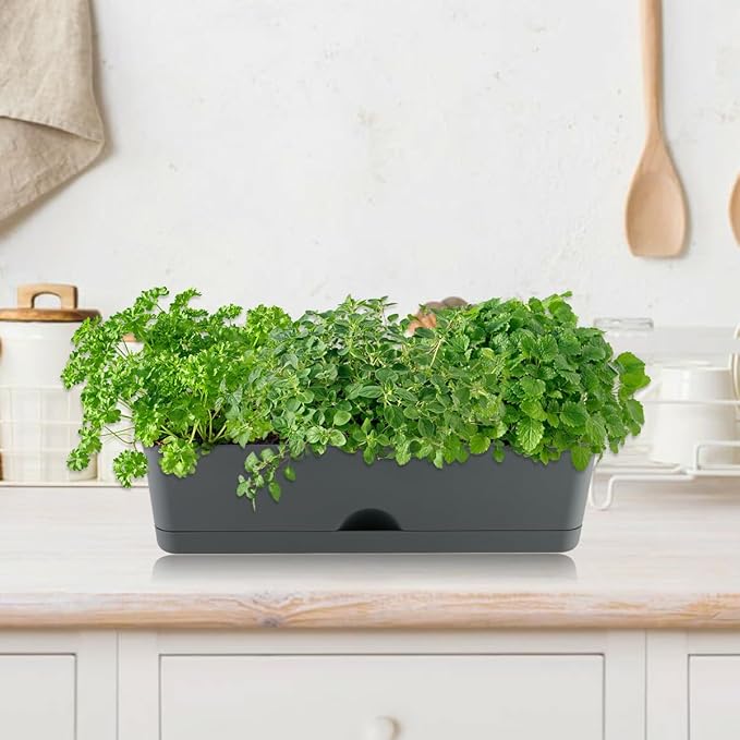 6 Pack Rectangle Planter 16x4.4 Inch Window Boxes Planters Rectangular Large Window Sill Planters Indoor Self Watering Plant Pots with Drainage Holes and Saucers Succulent Herb Flower Pots, Dark Grey