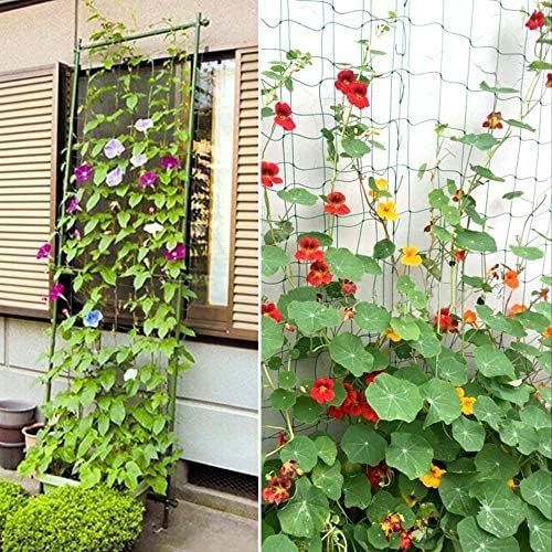 Pack of 2 Cucumber Tomato Trellis Netting, Heavy Duty Garden Netting for Climbing Plants Support, Pea, Grape, Bean, Fruit, Vegetables - 4" Mesh Size, 3Ft x 6Ft