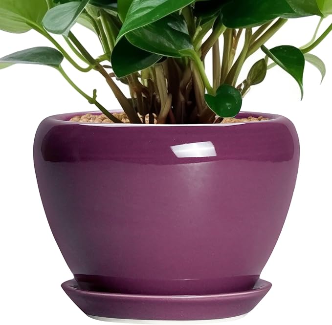 Ceramic Pots for Plants 6 Inch - Ceramic Plant Pots with Drainage Hole and Saucer, Glaze Round Planter for Succulent Plants, Gifts for Plant Lovers, Garden Home Decor, Purple