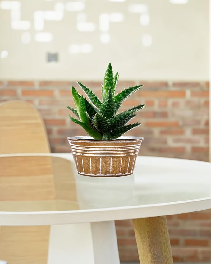 vensovo 10 Inches Brown Metal Rustic Plant Pots - 4 Pcs Large Shallow Galvanized Planters with Drain Hole and Rubber Plug, Rustproof Tin Bucket Succulent Pot Indoor Farmhouse Vintage Style for Decor