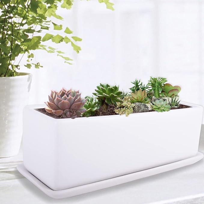 Vencer 12 Inch Rectangular Modern Minimalist Ceramic Succulent Planter Pot - Window Box with Saucer,Office Desktop Potted Stand,White,VF-0135