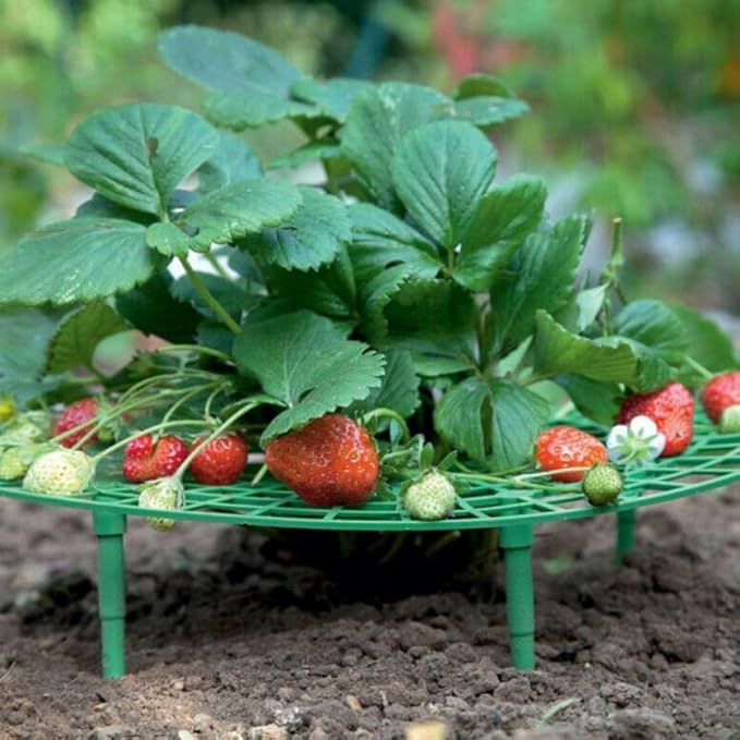 Comimark 12 PCS Grow Your Garden with This Stylish Strawberry Wavy Bracket - Balcony Potted Vegetable Rack
