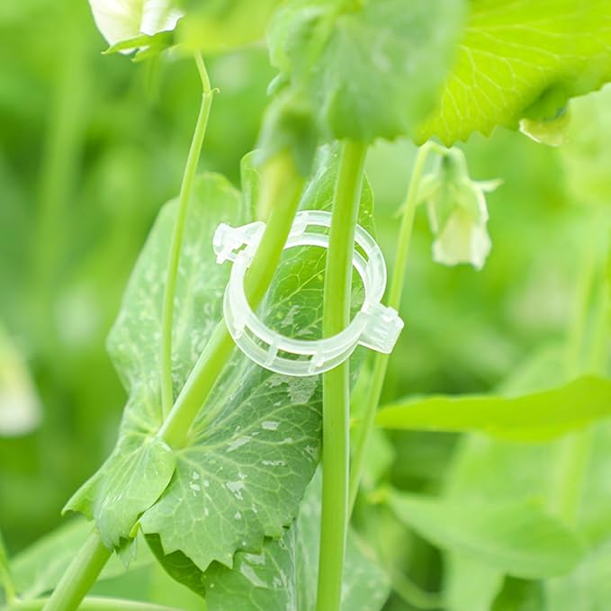 Plant Support Clips, 100 Pcs Tomato Clips, Plastic Trellis Clips, Grape Vine Tomato Vine Vegetables Plants Garden Support Clips to Grow Upright Makes Plants Healthier (Plastic, White)