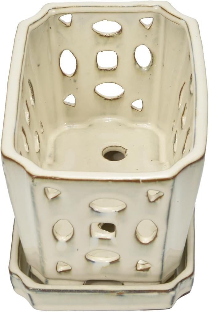 W&W Orchid Pot with Holes and Saucer for Repotting, Cream White, 9.7 Inch