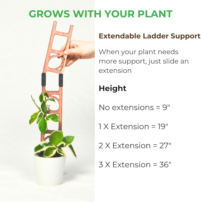 Treleaf Stella Extendable Ladder Trellis - Wooden Plant Trellis for Indoor Climbing Plants, Modular Plant Support Stake with 12” Base + 8” Extension - Perfect for Ivy, Hoya, Houseplants