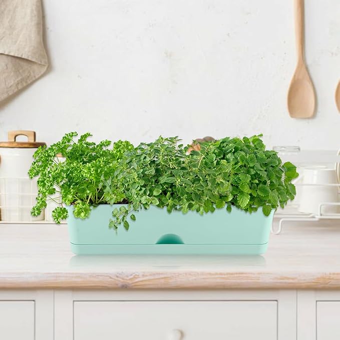 6 Pack Rectangle Planter 16x4.4 Inch Window Boxes Planters Rectangular Large Window Sill Planters Indoor Self Watering Plant Pots with Drainage Holes and Saucers Succulent Herb Flower Pots, Blue