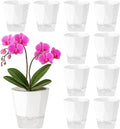 10 Pack Self Watering Pots for Indoor Plants, 6.7 Inches Self Watering Planters African Violet Pots Clear Pots for Herb Orchid Flower Houseplant, White