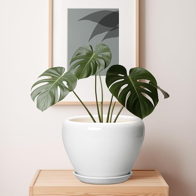 Ceramic Pot for Plants - 10 Inch Planter with Drainage Hole and Saucer, Glaze Modern Round Flower Pot for Indoor Plants, Housewarming Gift, Home Decor, White