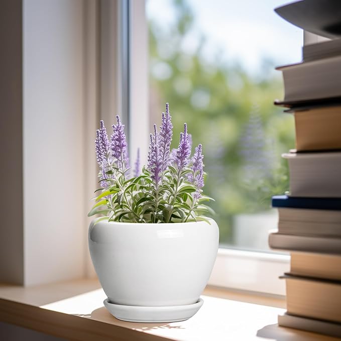 Ceramic Pot for Plants - 6 Inch Plant Pot for Succulent Plants, Glaze Modern Round Planter with Drainage Hole and Saucer, Gifts for Plant Lovers, Home Office Patio Room Decor, White