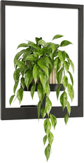 Bamworld Plant Stand Indoor Wall Decor Metal Plant Hanger Indoor Hanging Plant Holder Wall-Mounted Planters Outdoor Plant Rack Black 1 Pack (Patent Design)