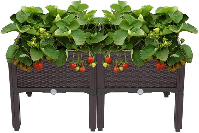 VINGLI Square Raised Garden Bed, Self-Watering Plastic Planter for Indoor Outdoor Vegetables, Fruits, Potato, Flowers, All Weather (2 Pcs)