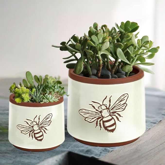 YBX Terracotta Pots Inch with Drainage Holes, Bee Decor, Ceramic Pots for Indoor Plants Flower Pots Outdoor, Succulent, Herbs, Snake Plants (White, 6+4 Inch)