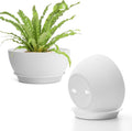 T4U 8 Inch Plant Pots, Plastic Planters with Drainage Holes, Plugs, and Saucers, Ideal for Indoor and Outdoor Use - 2 Pack, White