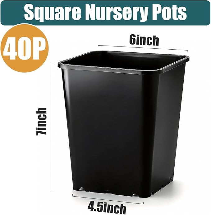 Nursery Pots 6 Inch 40 Pcs, Plastic Seed Starting Pot with Drainage Holes, Sturdy Seedling pots for Planting, Cuttings (Black)