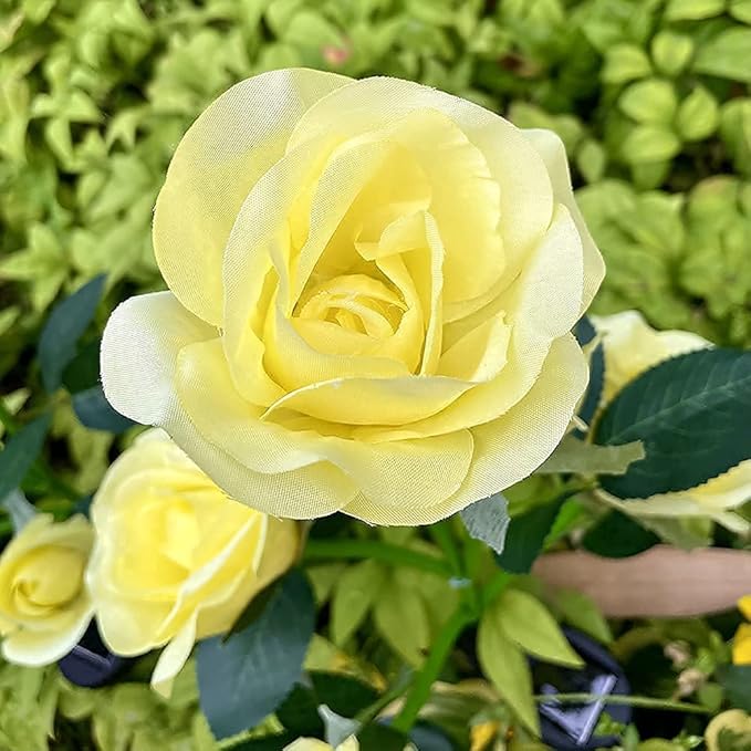 GONIMY Outdoor Realistic Solar Powered Rose Flower Lights Stake,2 Pack 10 Rose Solar Garden Decorative Waterproof Lights for Backyard Patio Pathway Xmas Decoration-Yellow