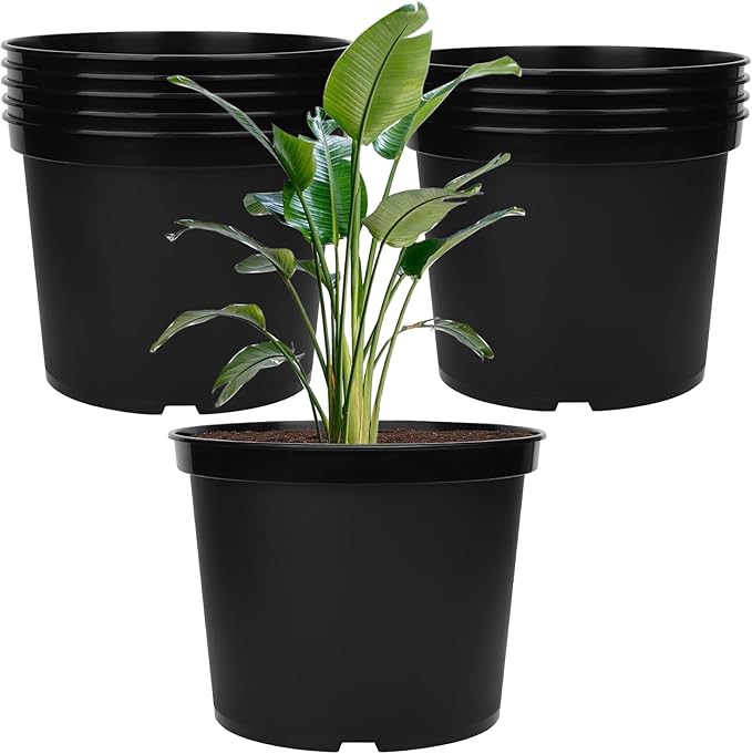 GREANER 5 Gallon Black Planter Pots, 10PCS Plastic Durable Plant Pots for Plants, Seed Starting Container for Flower Herb Vegetable Seedling Tree Fruit