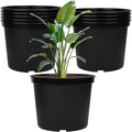 GREANER 5 Gallon Black Planter Pots, 10PCS Plastic Durable Plant Pots for Plants, Seed Starting Container for Flower Herb Vegetable Seedling Tree Fruit